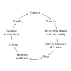 Dara Kennedy Sea Serum 7 Dara Kennedy Sea Serum -Augustinus Bader Beauty Store Dara Kennedy Sea Serum Diagram