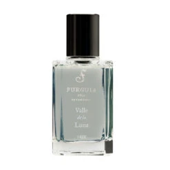 Fueguia 1833 Valle De La Luna